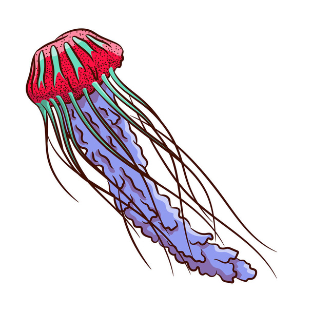 Multi-colored jellyfish isolated on white background. Medusa with long tentacles. Abstract image of an underwater inhabitant.Illustration in ink hand drawn style. - Vector, Image