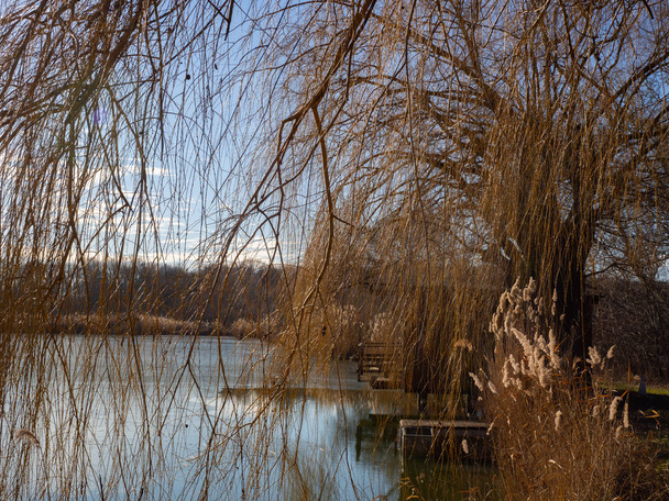Kleiner See an einem sonnigen Wintertag - Foto, Bild