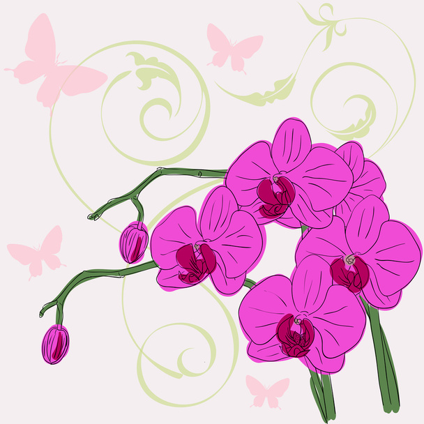 twig blossoming orchids - Vector, Image