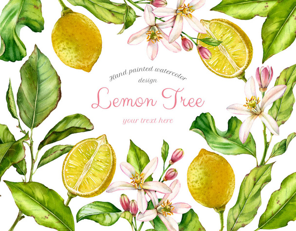 Watercolor Lemon fruits. Frame with branches, flowers, leaves. Realistic botanical watercolor banner with citrus tree isolated on white. Fresh tropical food design with text for label - Photo, Image