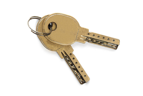 a combination of two keys with a key chain, on a white background with shadow.  - Photo, Image