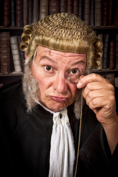 Judge with monocle - Photo, image