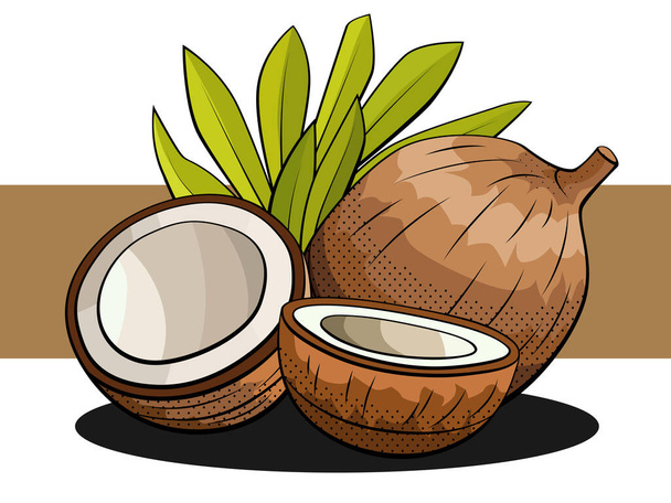 Vektorillustration von Kokosnüssen mit Hälften auf einem braunen Streifen. - Vektor, Bild