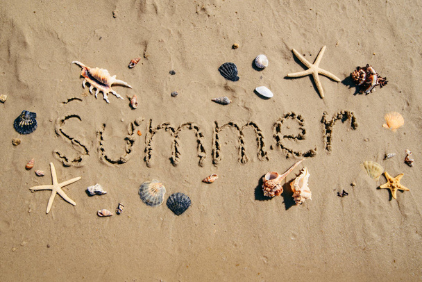 summer text on sand beach shells and starfish around - 写真・画像