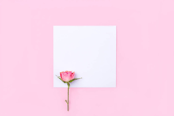 Dried rose flower on pink background. - Zdjęcie, obraz