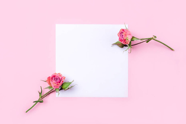 Dried rose flowers on white and pink background. - Foto, Imagem
