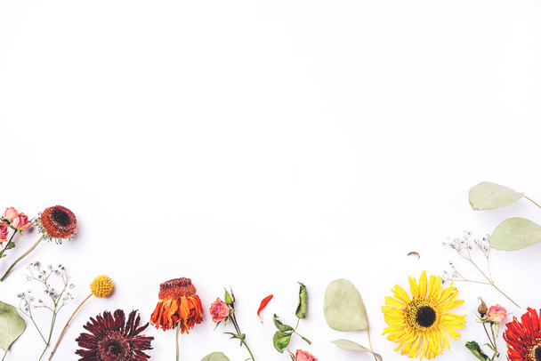 Frame of dry flowers on white background. - Fotó, kép