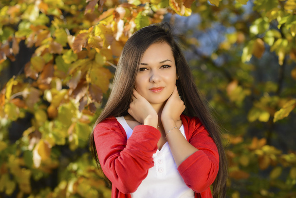 Young woman in a romantic autumn scenery - Zdjęcie, obraz
