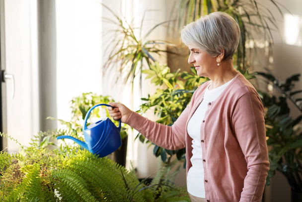 senior woman watering houseplants at home - Фото, зображення