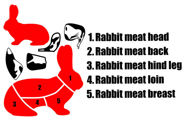 A set of four pieces of rabbit meat, the silhouette of a rabbit and the method of cutting the carcass. Part of the meat. Vector illustration. - Vector, Image