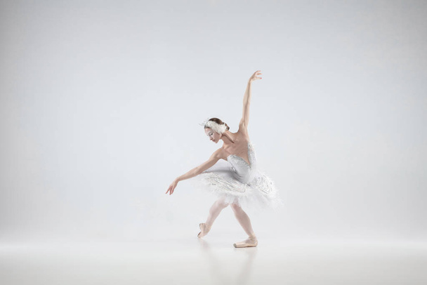 Young graceful ballerina on white studio background - Фото, изображение