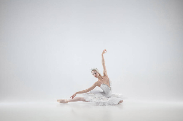 Young graceful ballerina on white studio background - Photo, image
