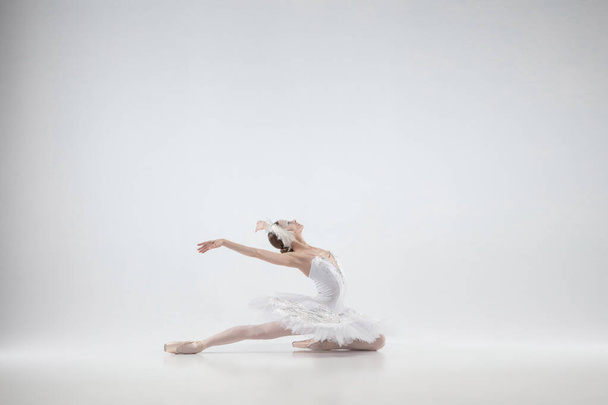 Young graceful ballerina on white studio background - Fotografie, Obrázek