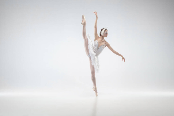 Young graceful ballerina on white studio background - Foto, imagen