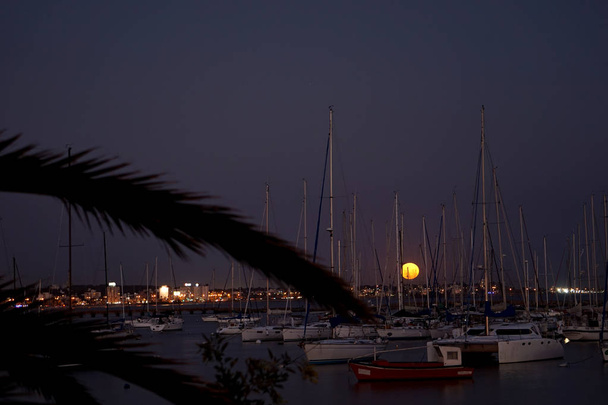 Luna llena en el cielo de la ciudad - Фото, зображення