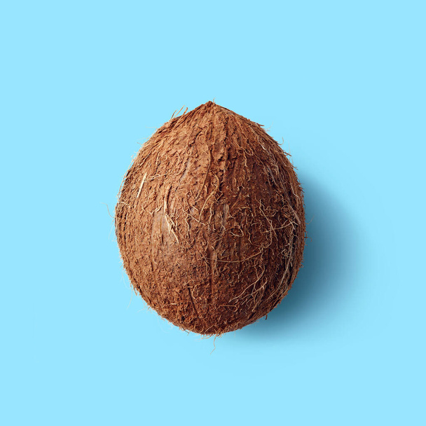 Whole coconut on pastel blue background, top view - 写真・画像