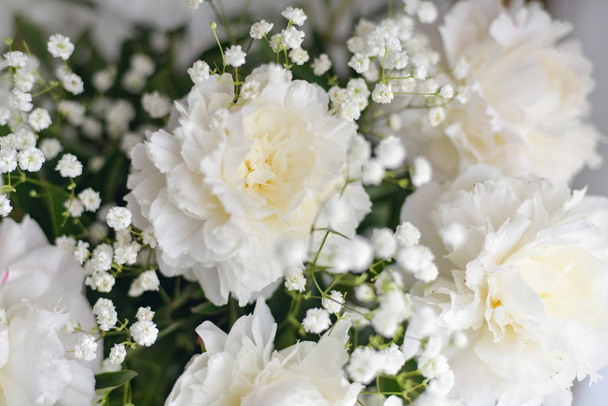 White peonies flowers with Gypsophila in vase on white background - Фото, зображення
