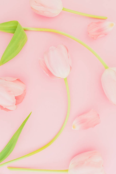 ピンクの背景にチューリップの花のパターン。フラットレイアウト、トップビュー。春の時間背景. - 写真・画像