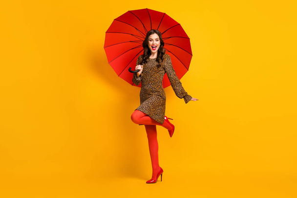 Full length body size view of her she nice attractive pretty charming lovely cheerful cheery wavy-haired girl using parasol having fun isolated on bright vivid shine vibrant yellow color background - Valokuva, kuva
