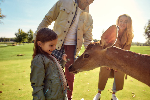 Досліджуючи світ. Мила дівчина дивиться і годує молодих оленів з їжею, проводячи час зі своєю сім'єю в зоопарку
 - Фото, зображення