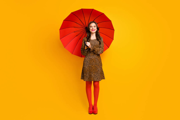 Full length body size view of nice attractive lovely pretty charming fashionable cheerful cheery wavy-haired girl holding umbrella isolated on bright vivid shine vibrant yellow color background - Fotografie, Obrázek