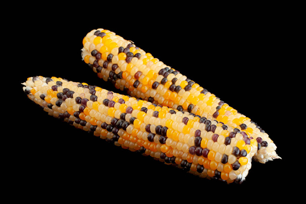 Small decorative multicolor corn seeds closeup isolated on black - Photo, Image