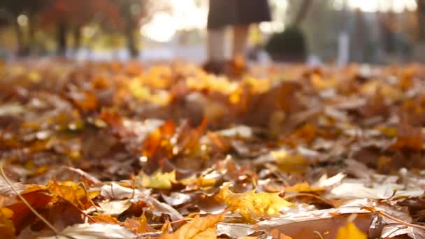 Női lábak sportcipőben, őszi leveleken sétálva - Felvétel, videó