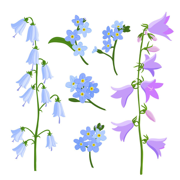 vector drawing bell flowers - ベクター画像