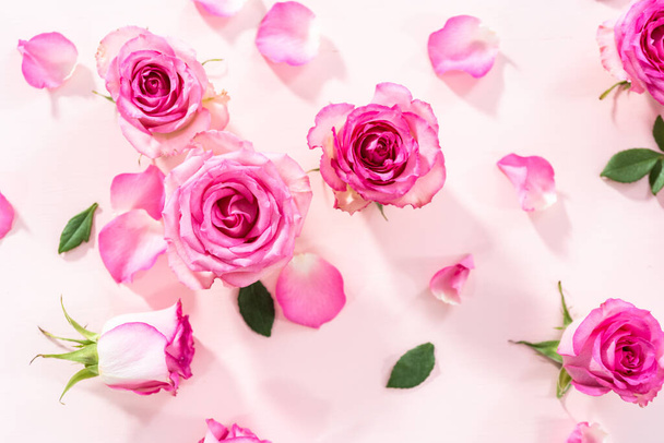 Lapos fekvés. Rózsaszín rózsák és rózsaszirmok rózsaszín alapon. - Fotó, kép