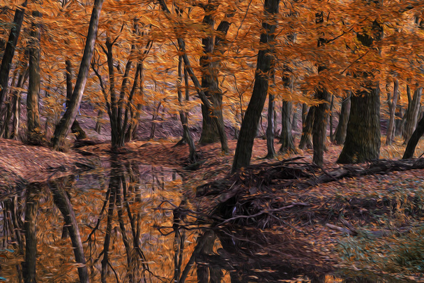 River in autumn forest - Fotografie, Obrázek
