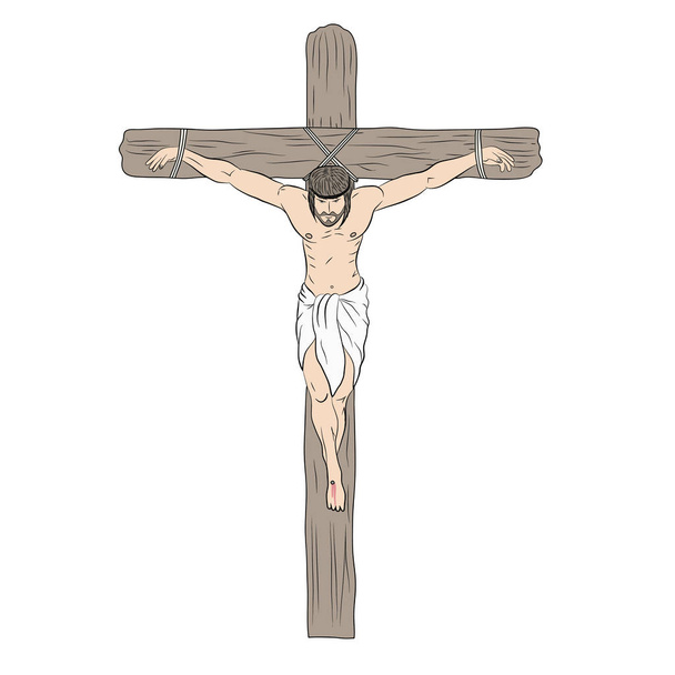 Jesús en la cruz. Crucifixión de Jesús en la cruz aislada sobre un fondo blanco. Ilustración vectorial
. - Vector, imagen