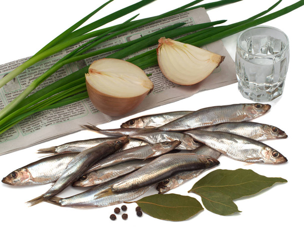 Sprat spicy salting in a plate, onions and green onions on the newspaper, glass of vodka - Photo, Image