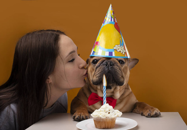 menina beija um cão, menina com seu bulldog francês em um fundo isolado amarelo comemorar aniversário
 - Foto, Imagem