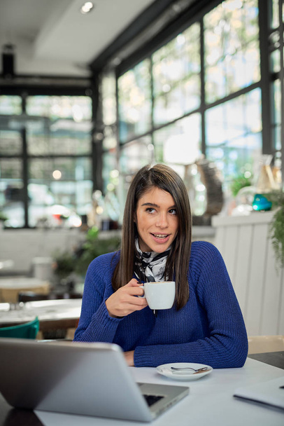 Attractive caucasian in sweater sitting in cafe, holding coffee. On table is laptop. - Photo, Image