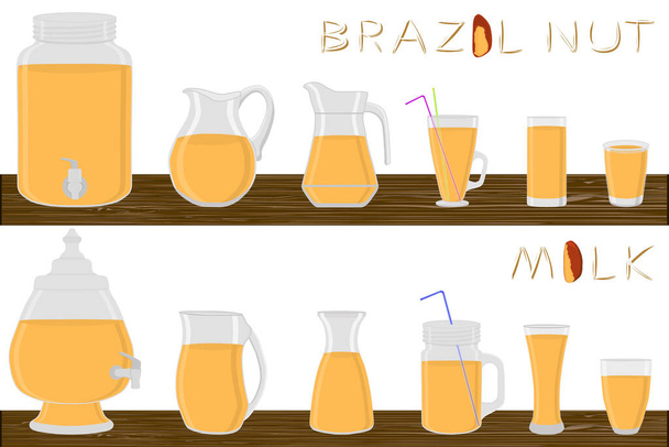 Nagy készlet különböző típusú üvegáruk, brazil dió tej kancsókban különböző méretű. Folyékony brazil diótejhez használt szerves műanyag kancsókból álló üvegáruk. Egy kancsó brazil anyatej, az asztalon álló üvegáru.. - Vektor, kép