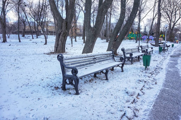 Het grondgebied van de Kiev Zoo. De winter. De grond is bedekt met sneeuw.. - Foto, afbeelding