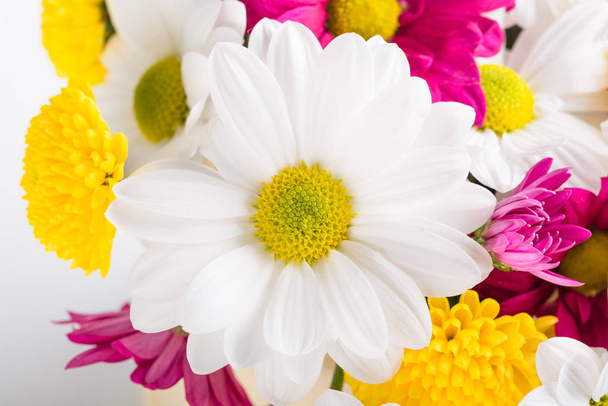 Ανοιξιάτικο μπουκέτο λουλούδια χρυσάνθεμα, φλοράλ φόντο, Ημέρα της Γυναίκας - Φωτογραφία, εικόνα