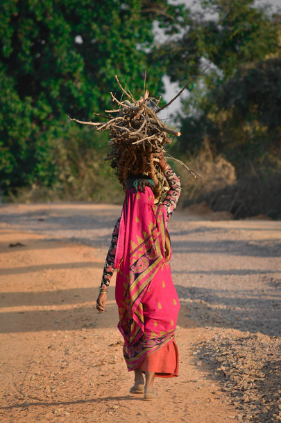 インド人女性が道路で木を担いでインドの田舎の風景. - 写真・画像