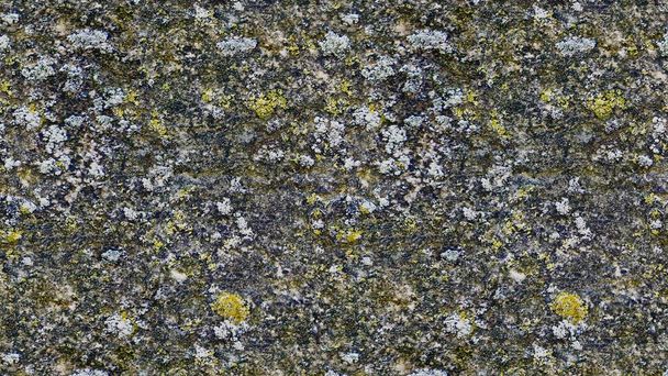 Superfície de concreto com textura de grama como fundo sem costura. - Foto, Imagem