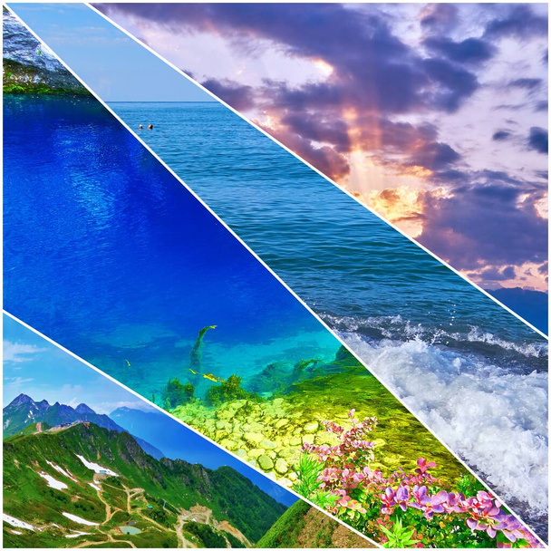 Collage of bright pictures of Sochi and Black Sea landscapes in Russia - Photo, Image