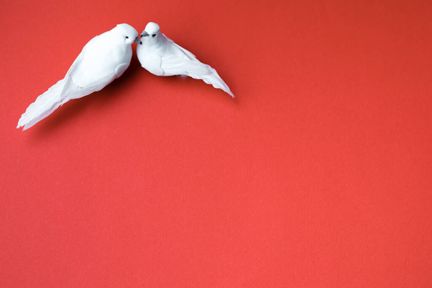 Δύο λευκά περιστέρια, σύμβολο της αγάπης, φιλιά σε κόκκινο φόντο - Φωτογραφία, εικόνα