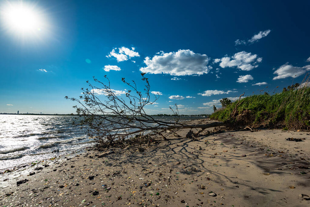 A costa da Ilha Estéril ao lado da Baía dos Cavalos Mortos, também conhecida como a Praia da Garrafa de Vidro. Agora gerido pelo Serviço Nacional de Parques como parte da Unidade da Baía de Jamaica da Área de Recreação Nacional de Gateway
. - Foto, Imagem
