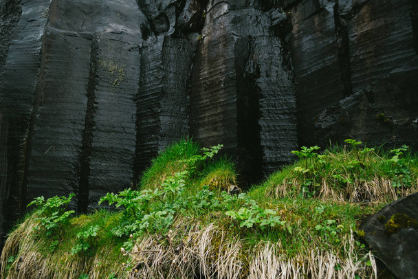 Colonnes de basalte noir et herbe verte près de la cascade de Svartifoss en Islande
 - Photo, image