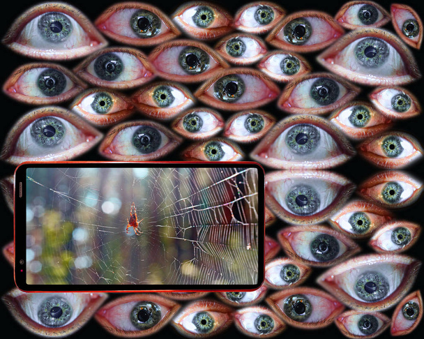 Computer security concept: your phone is watching for your life. Spider web as a symbol of Internet on smartphone screen on background of human eyes  - Photo, Image