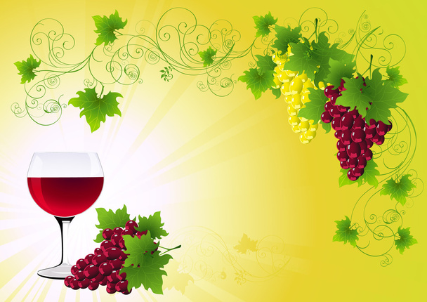 Grapes background - Vector, Image