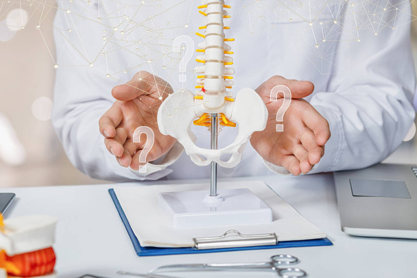 The concept of answers to questions of diagnosis of spinal disease. - 写真・画像