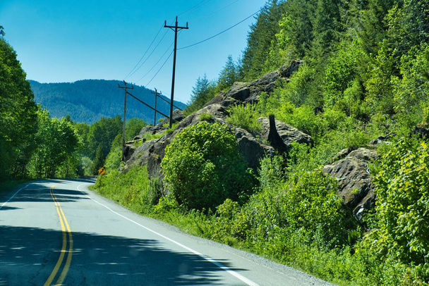 Ruta forestal escénica durante un vibrante día de verano. Tomado de campista, Ucluelet y Tofino, Isla Vancouver, BC, Canadá
 - Foto, imagen