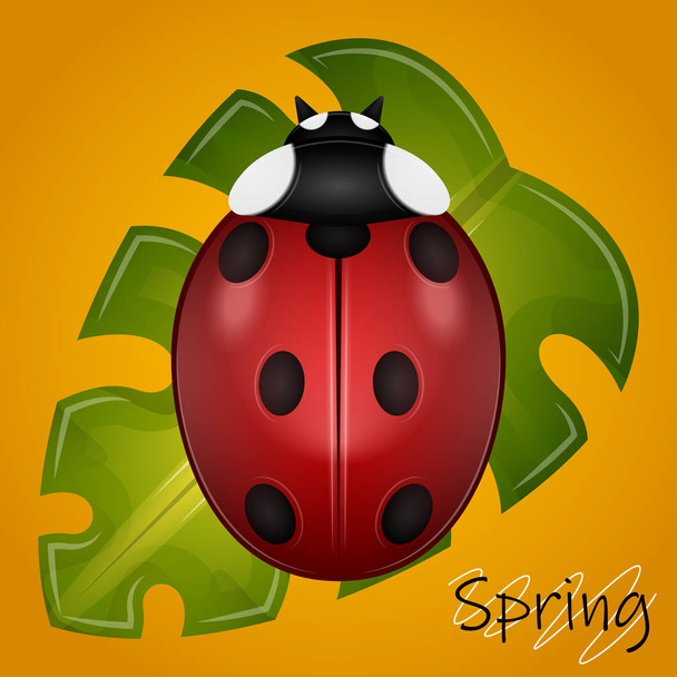 Ladybug on a leaf - Vektör, Görsel