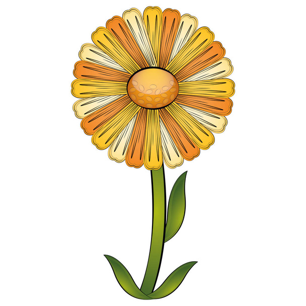 Isolated beautiful daisy flower - Wektor, obraz