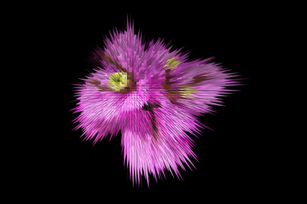 stylizovaný květ - Fotografie, Obrázek